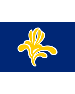 Flag: Brussels