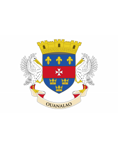 Flag: Saint Barthélemy