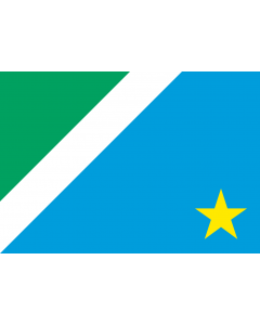 Flag: Mato Grosso do Sul