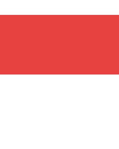 Flag: Solothurn