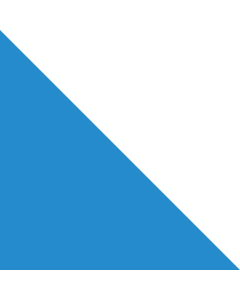 Flag: Canton of Zürich