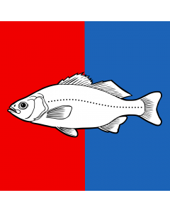 Flag: Swiss city Nyon