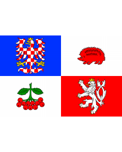 Flag: Vysočina Region