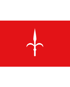 Flag: Province of Trieste