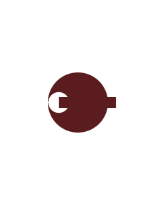 Flag: W3C-validity not checked