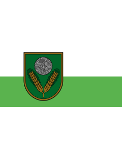 Flag: W3C-validity not checked