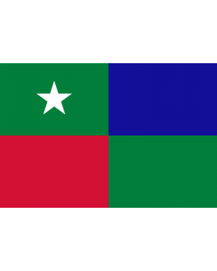 Flag: Standard of the Prime Minister of the Maldives