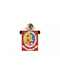 Flag: Oaxaca