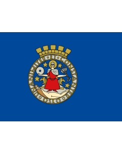 Flag: Oslo