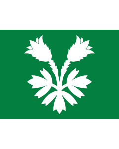 Flag: Oppland