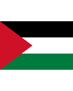 Flag: Palestine